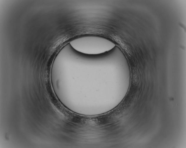 X0000091650683200708231010