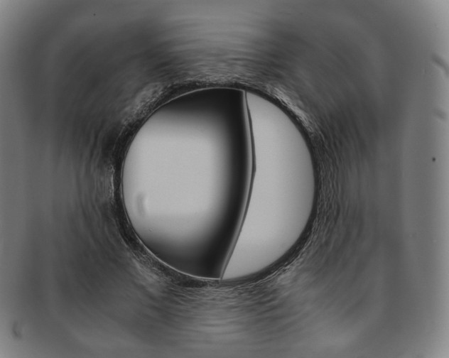 X0000091650685200708231010