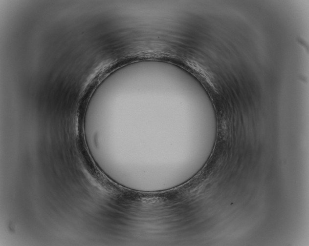 X0000091650686200708231010