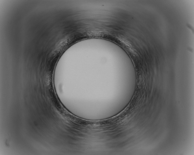 X0000091650687200708231010