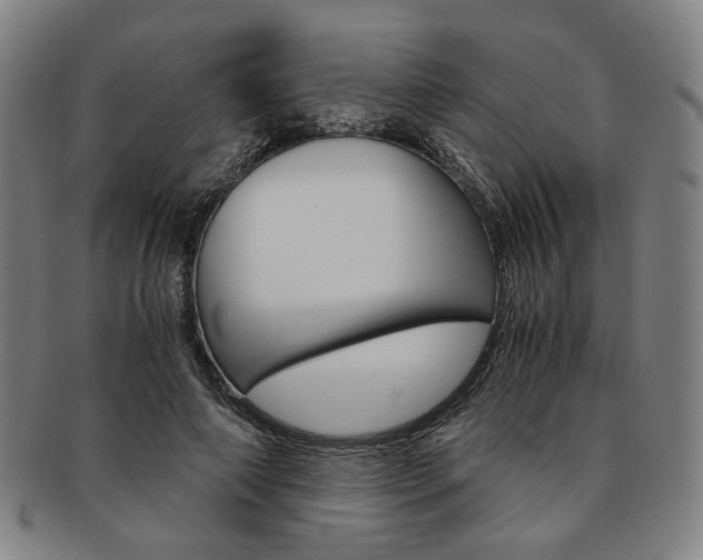 X0000091650690200708231010