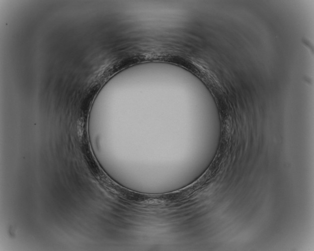 X0000091650691200708231010