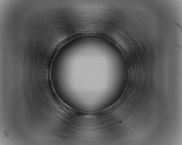 X0000091650692200708231010