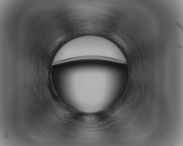 X0000091650693200708231010