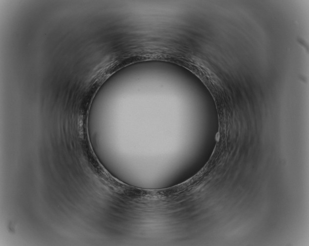 X0000091650696200708231010