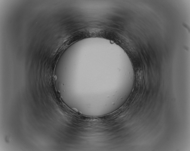 X0000091650698200708231010
