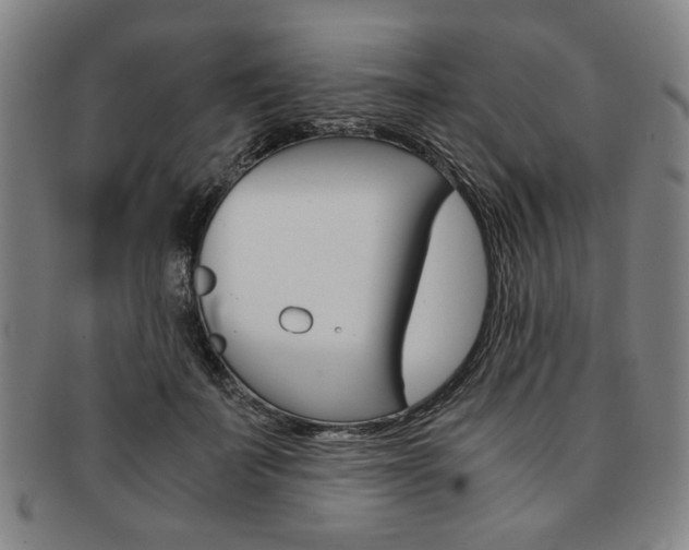 X0000091650699200708231010