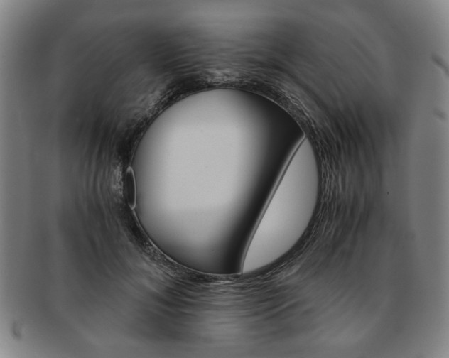 X0000091650700200708231010