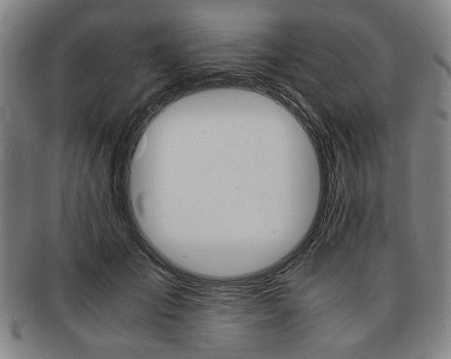 X0000091650701200708231010