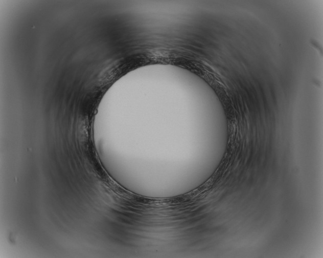 X0000091650702200708231010