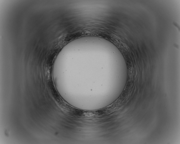 X0000091650703200708231010