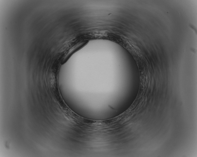 X0000091650704200708231010