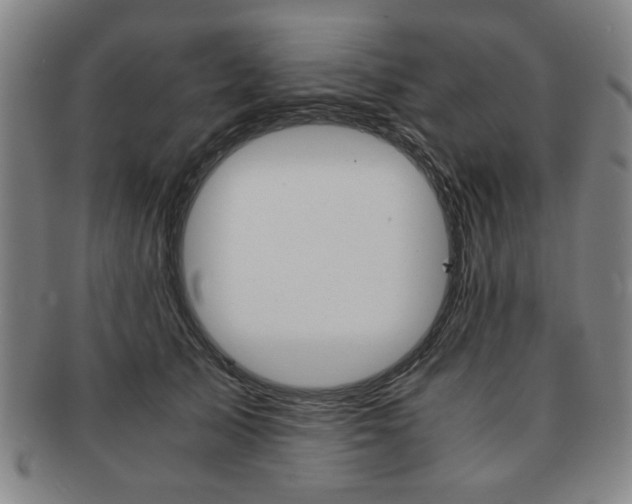 X0000091650705200708231010