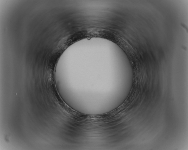 X0000091650706200708231010