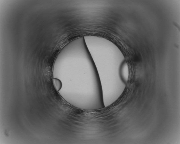 X0000091650707200708231010