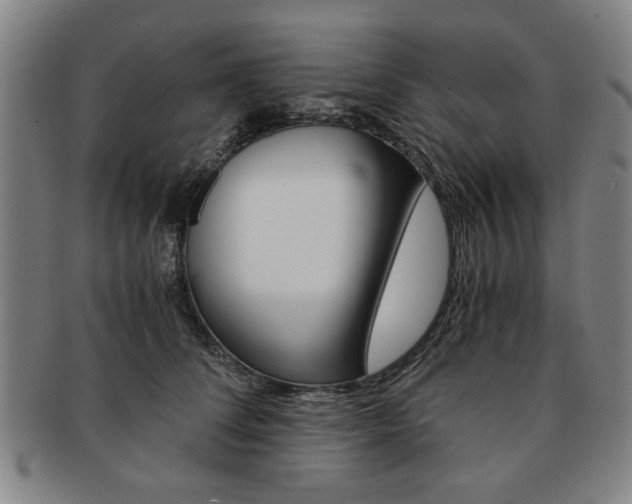 X0000091650708200708231010