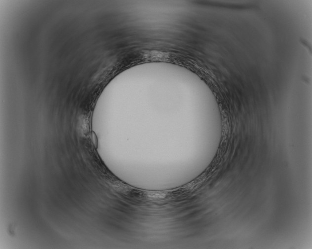X0000091650709200708231010