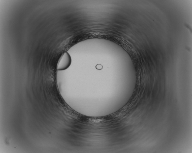X0000091650710200708231010