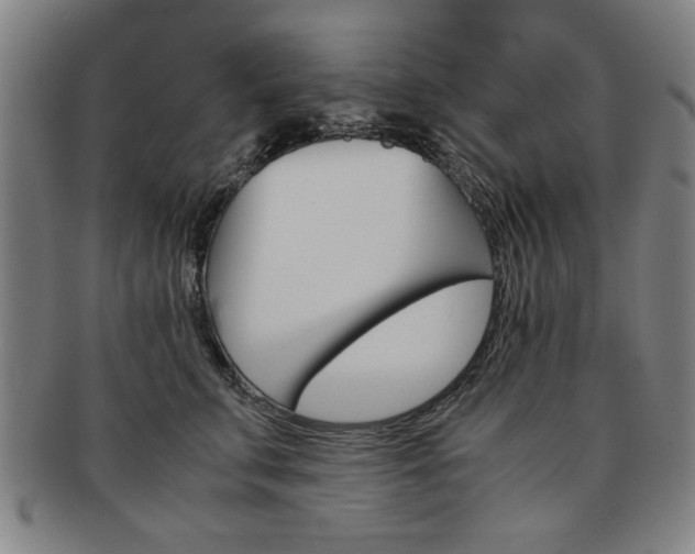 X0000091650711200708231010