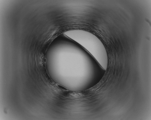 X0000091650712200708231010
