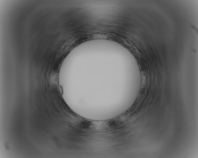 X0000091650713200708231010