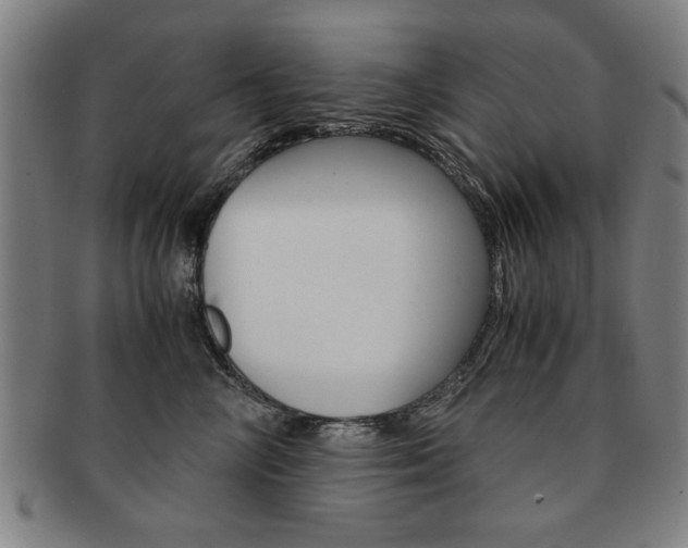 X0000091650714200708231010