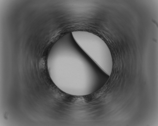 X0000091650715200708231010