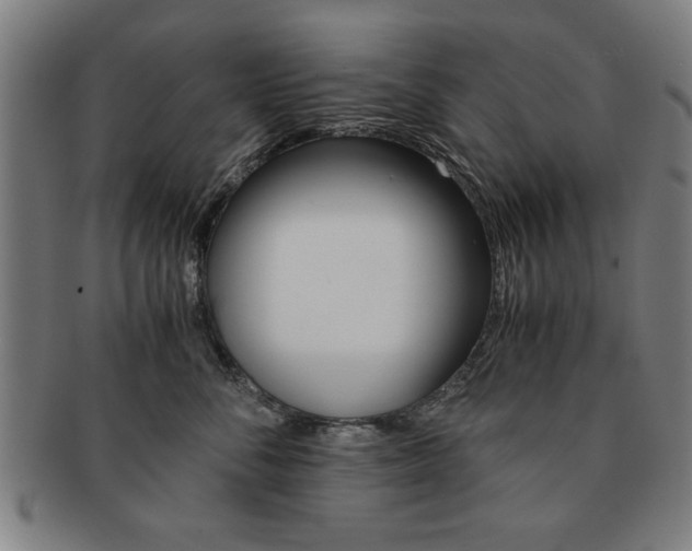 X0000091650716200708231010