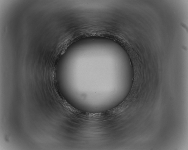 X0000091650720200708231010