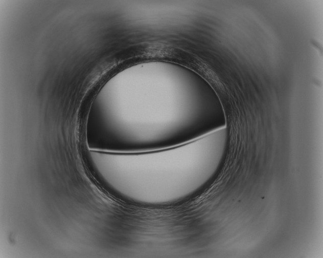 X0000091650722200708231009