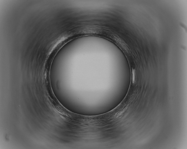 X0000091650723200708231009