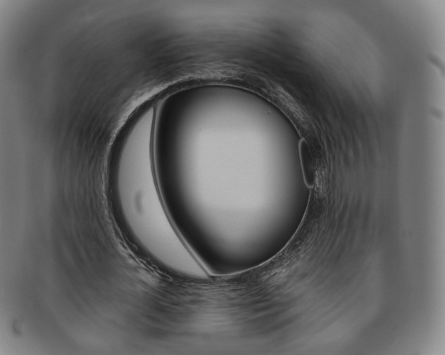 X0000091650724200708231009