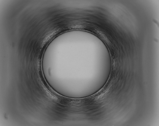 X0000091650725200708231009