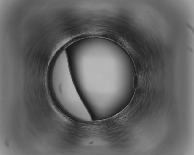 X0000091650726200708231009