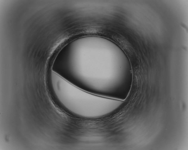X0000091650728200708231009