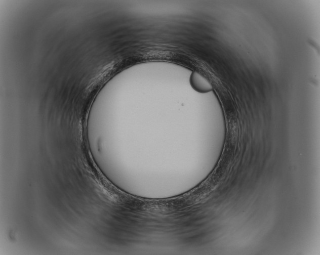 X0000091650729200708231009