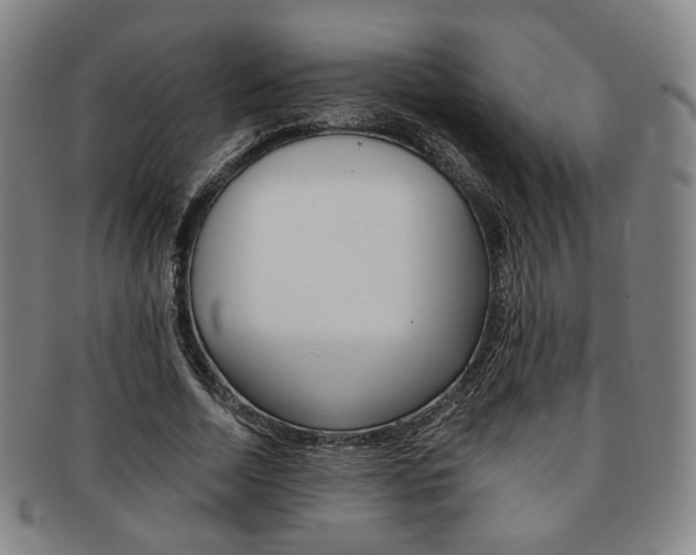 X0000091650730200708231009