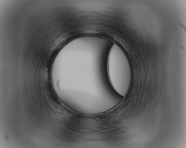 X0000091650731200708231009