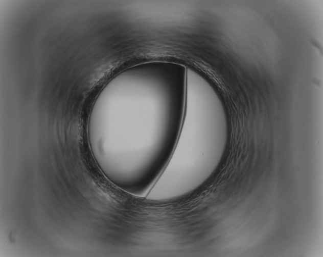 X0000091650732200708231009