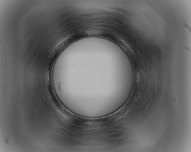 X0000091650733200708231009