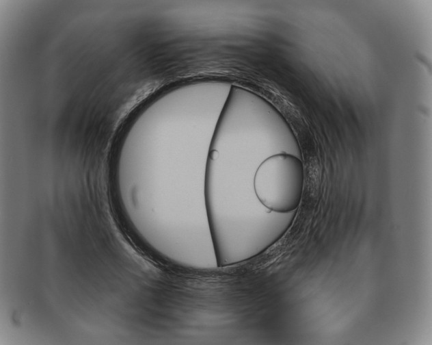 X0000091650734200708231009