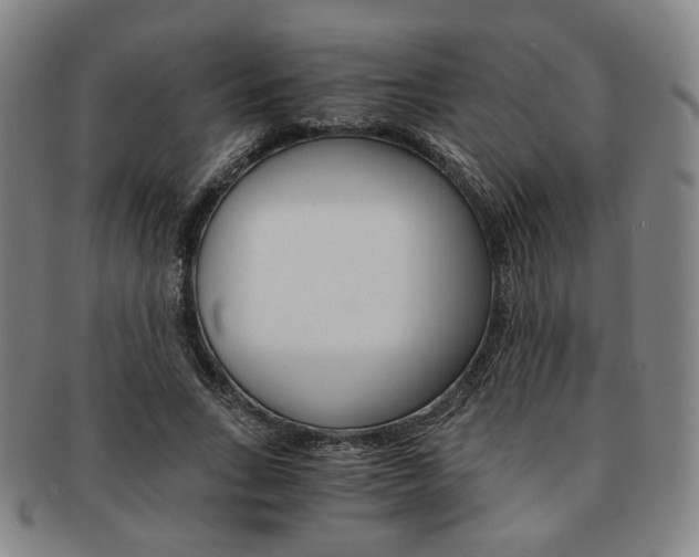 X0000091650735200708231010