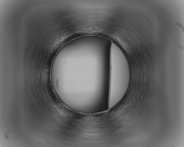 X0000091650736200708231010