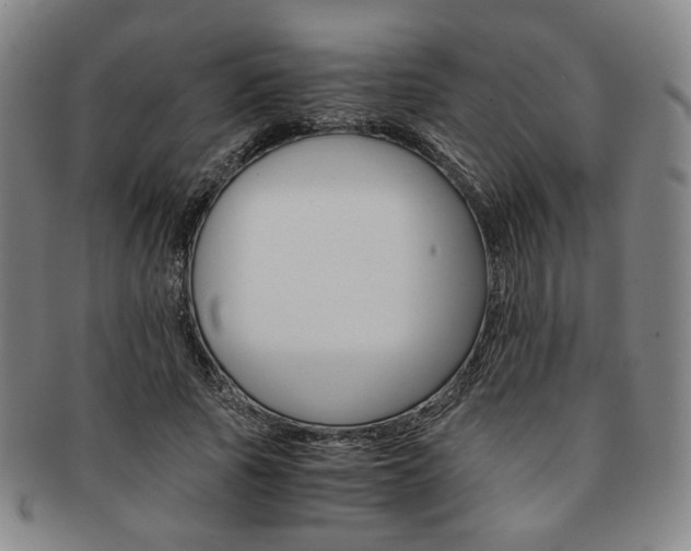 X0000091650737200708231010