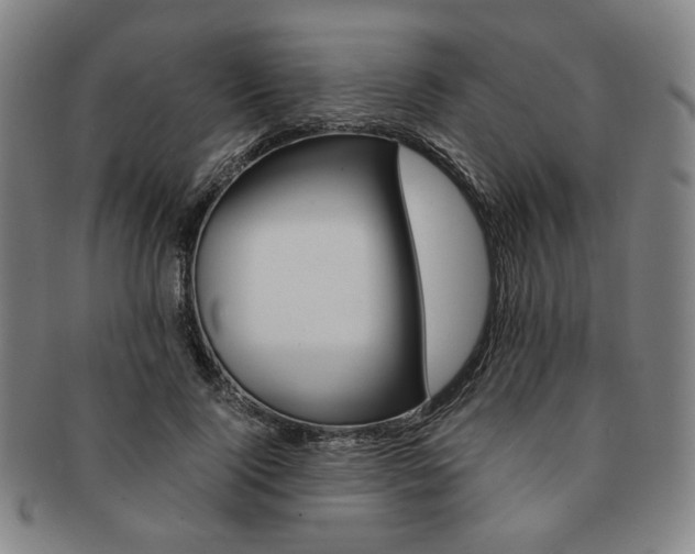 X0000091650740200708231010