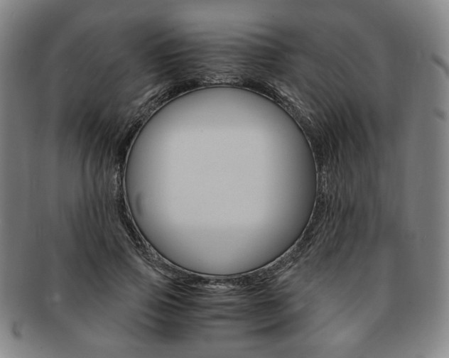 X0000091650741200708231010