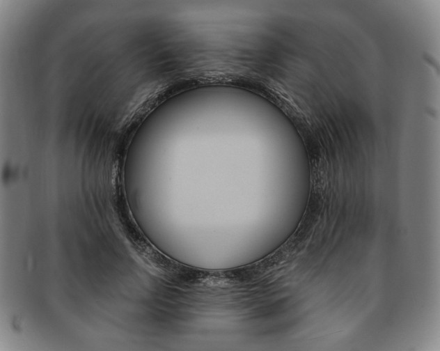 X0000091650742200708231010