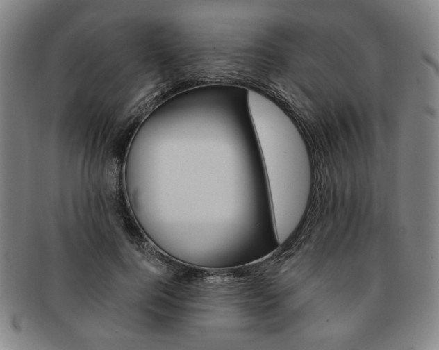 X0000091650744200708231010