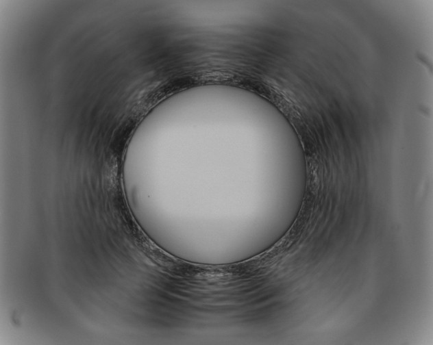 X0000091650745200708231010