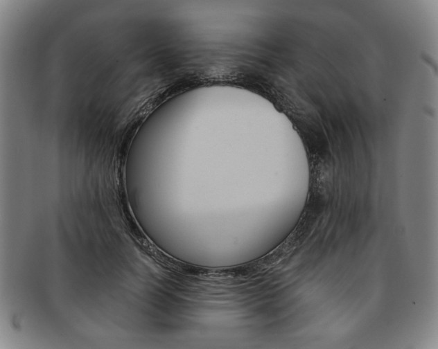 X0000091650746200708231010